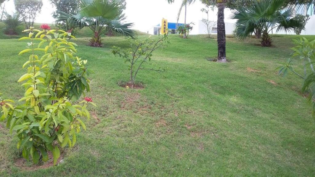 Apartamento Caldas Novas-golden Express